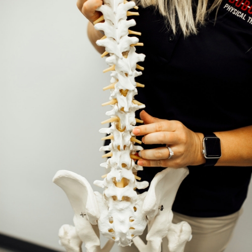 https://dubuquephysicaltherapy.com/wp-content/uploads/2023/02/physical-therapy-clinic-Pelvic-Floor-Therapy-dubuque-physical-therapy-Dubuque-IA.jpg